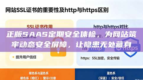 正版SAAS定期安全体检，为网站筑牢动态安全屏障，让隐患无处藏身