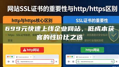699元快速上线企业网站，低成本获客的性价比之选